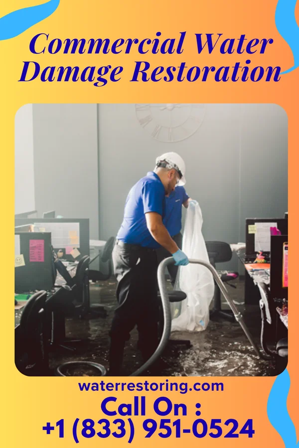 Commercial Water Damage Restoration in Windsor, NC