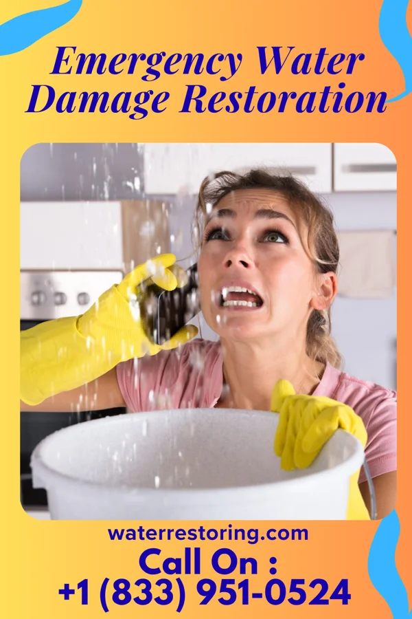 Emergency Water Damage Restoration in Windsor, NC