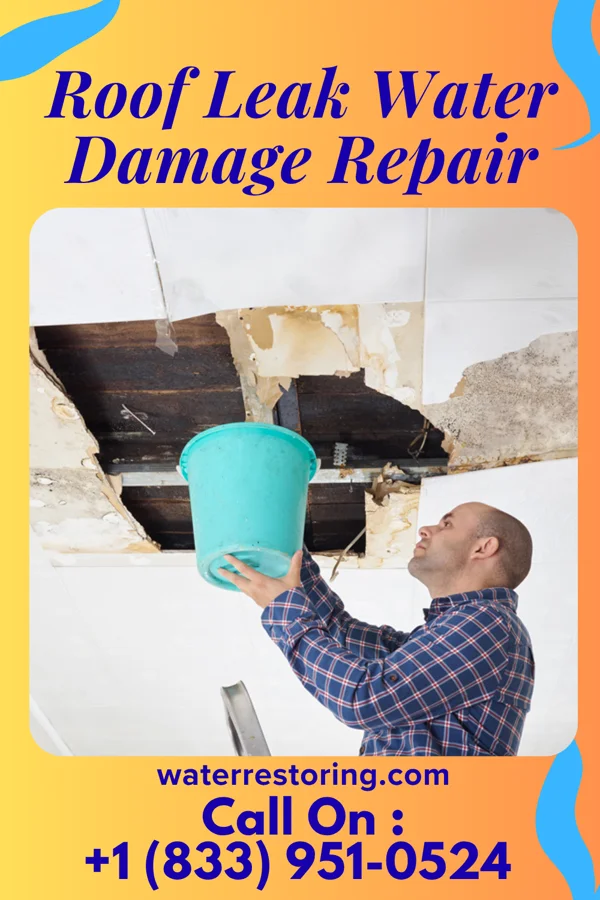 Roof Leak Water Damage Repair in Windsor, NC